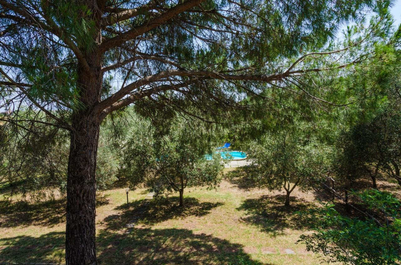 Agriturismo La Fragolaia Marina di Grosseto Bagian luar foto